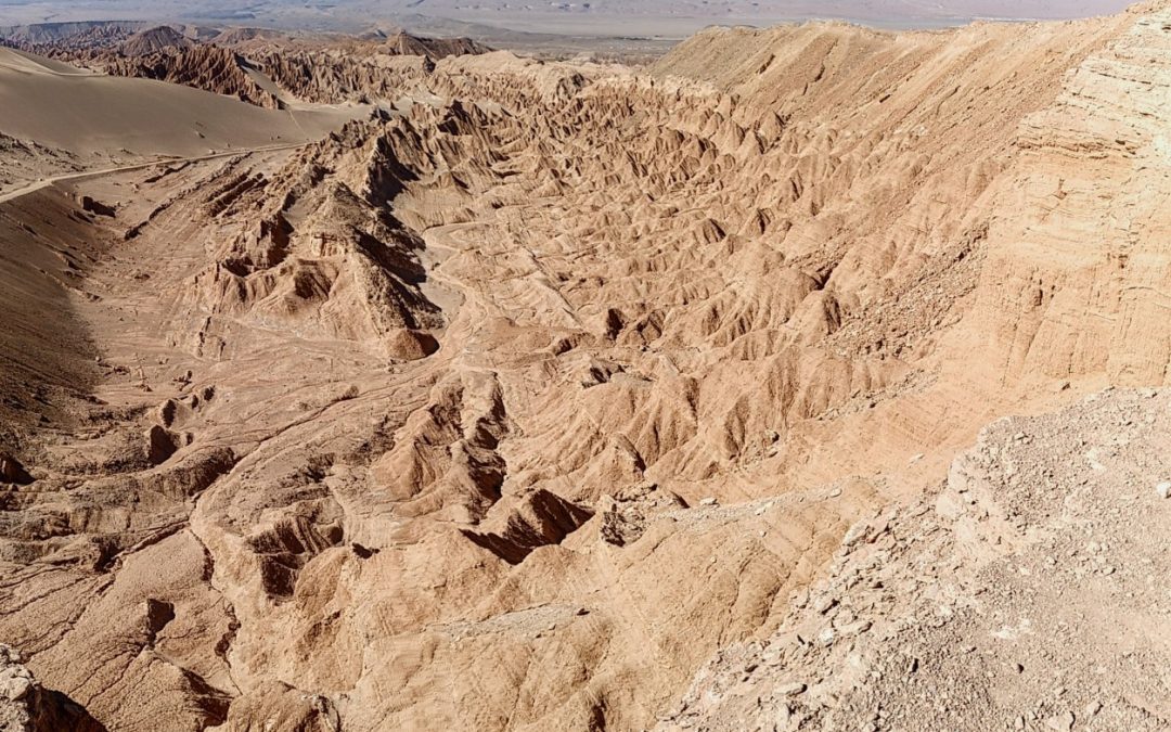 Diario de un botánico enamorado: Atacama Chile. En busca de la vida en condiciones extremas